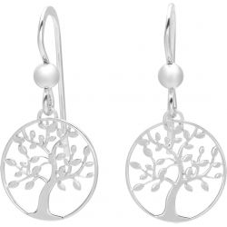 Boucles d'oreilles argent